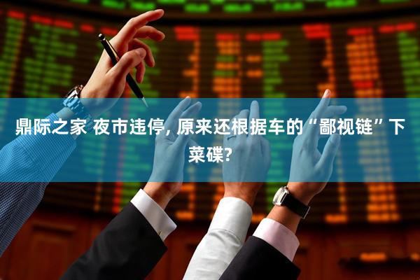 鼎际之家 夜市违停, 原来还根据车的“鄙视链”下菜碟?